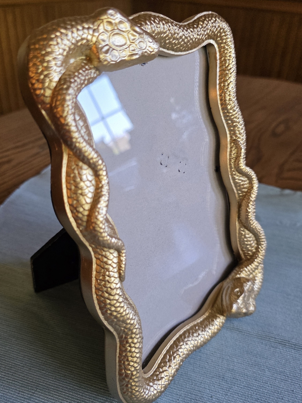 GOLD SNAKE Frame 5x7 Photo - Picture 11 of 16